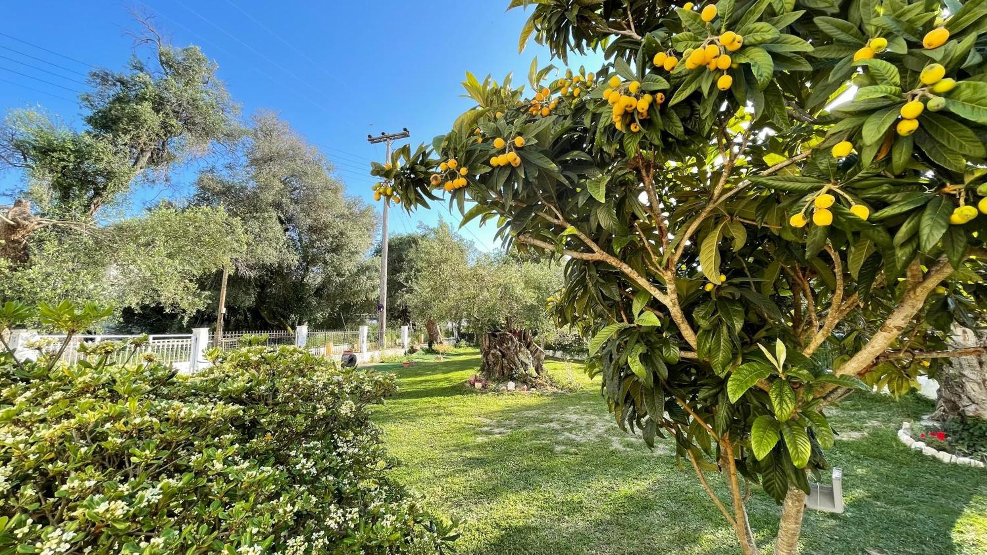 Kavos Aparthotel Екстер'єр фото